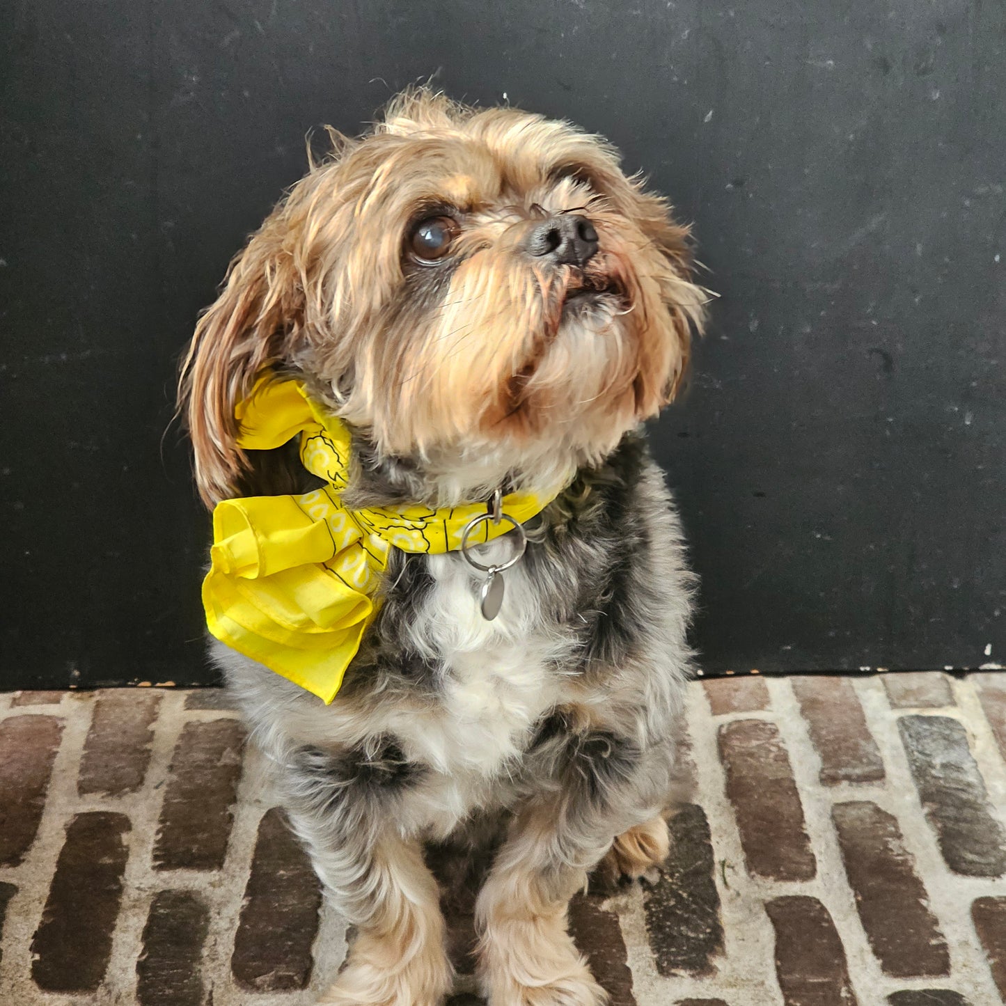 Wakiki - Altijd Handig! - Bandana - Paisley Bandana's 12 stuks - Bandana Heren / Dames - Bandana ketting